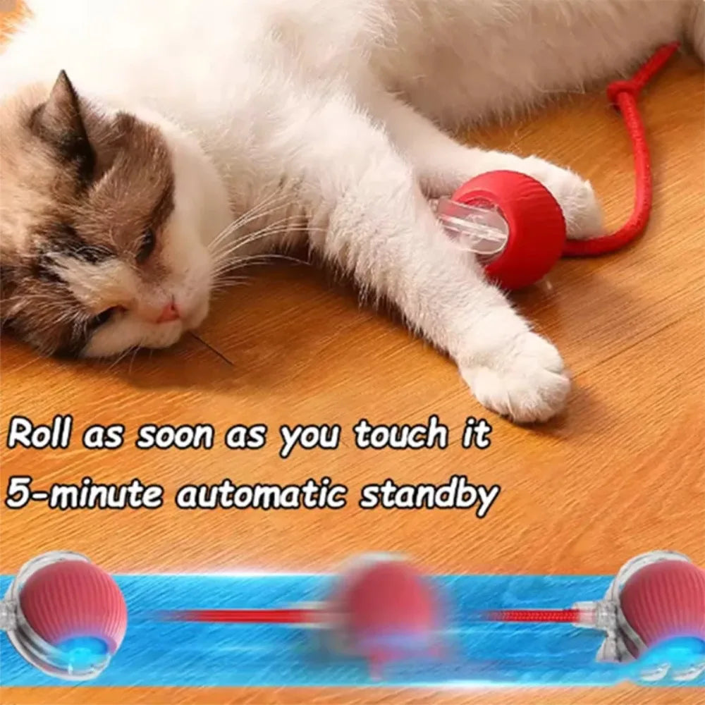 Hot Cat Toys Are Automatically Teasing Cat Balls and Self-Exciting Cat Sticks and Ticks and Resistant to Wear and Bite Pet Toys