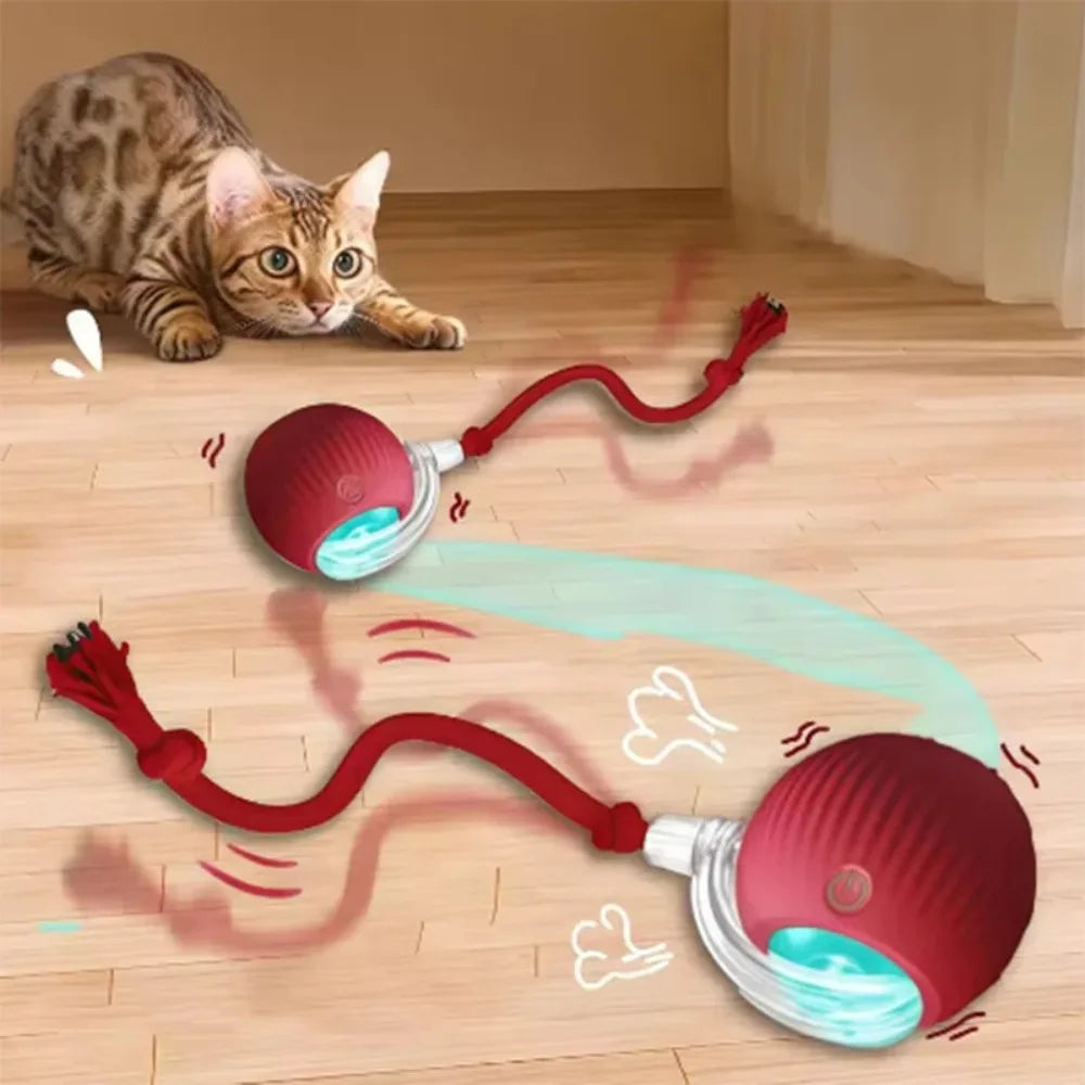 Hot Cat Toys Are Automatically Teasing Cat Balls and Self-Exciting Cat Sticks and Ticks and Resistant to Wear and Bite Pet Toys