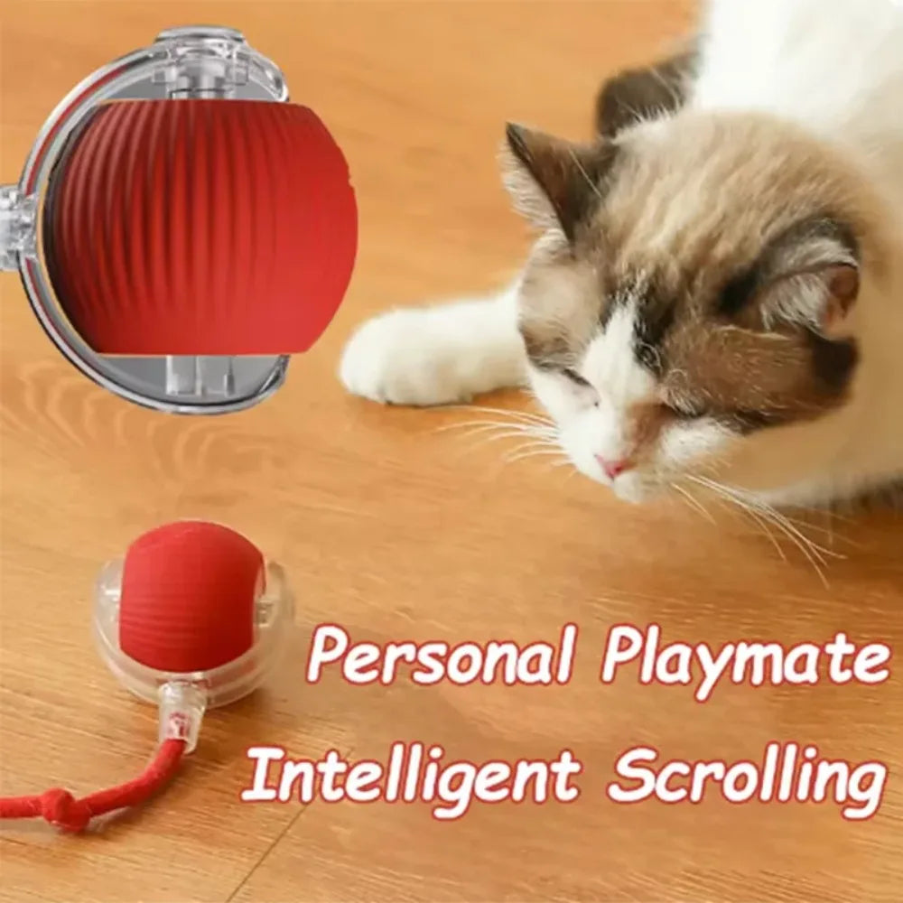 Hot Cat Toys Are Automatically Teasing Cat Balls and Self-Exciting Cat Sticks and Ticks and Resistant to Wear and Bite Pet Toys